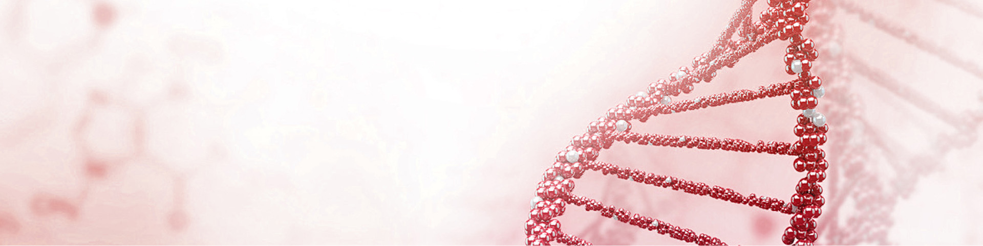 Target Library Banner